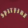 Spitfire Old E Fade Fill T-Shirt - maroon/red-gold - front detail