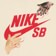 Nike SB City Of Love L/S T-Shirt - coconut milk - front detail