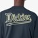 Dickies Guy Mariano Graphic T-Shirt - dark navy - model 5
