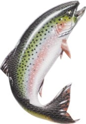 Burton Foam Mat Stomp Pad - brushie fish