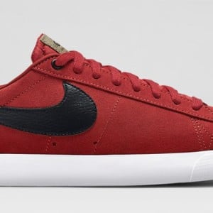 nike sb syl skate shops
