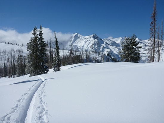 Co-Owner Matt P. in the Wallowas