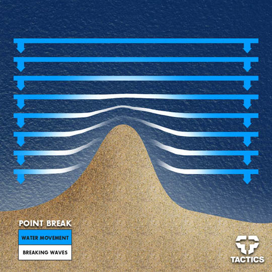 Surfing Buyer’s Guide Tactics