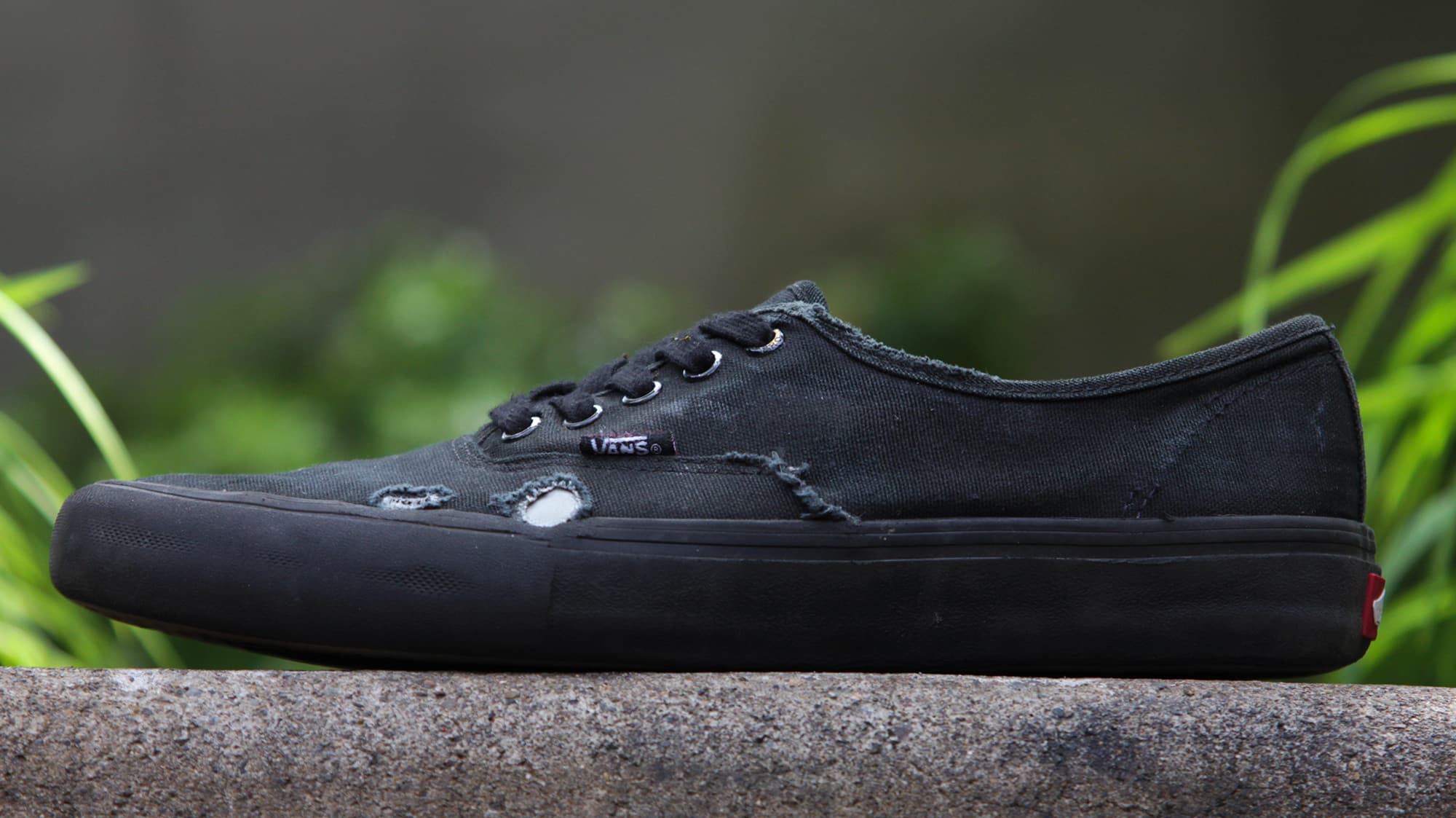 vans authentic pro skate