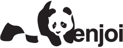 best-skateboard-brands-enjoi-skateboards