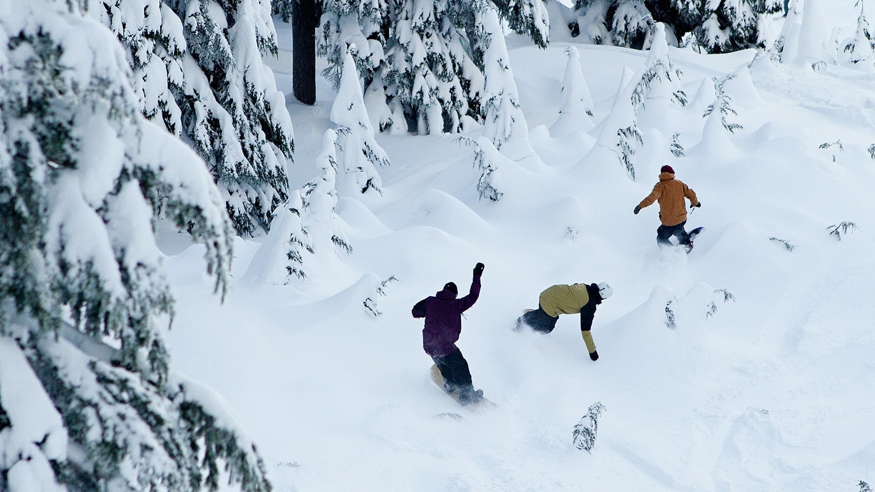 Snowboard Buying Guide