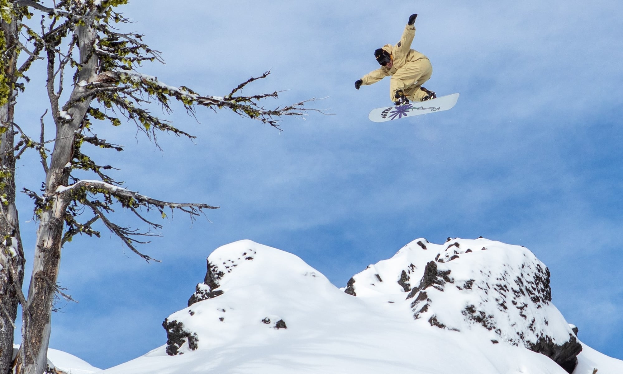 best freeride snowboard boots 2020