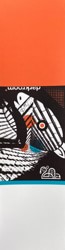 Darkroom Breakdown Skateboard Grip Tape