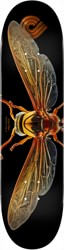 Powell Peralta Biss Potter Wasp 8.0 Shape 247 Skateboard Deck - multi