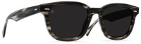 RAEN Myles Sunglasses - static/dark smoke lens