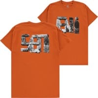 Evisen Evi Henge T-Shirt - terracotta