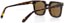 Ashbury Ace Sunglasses - brown tortoise/brown lens - alternate