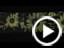 Nitro Snowboards 2023 Mountain Snowboard Overview
