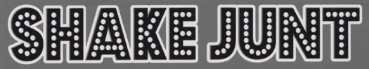 Shake Junt Stretch Logo Sticker - grey/black - view large