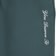 Alltimers You Deserve It Embroidered Dickies Pants - green - detail