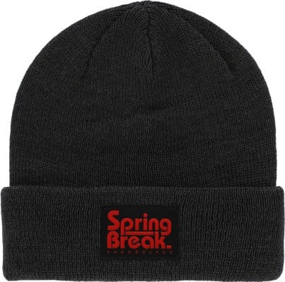 CAPiTA Spring Break Beanie - charcoal - view large