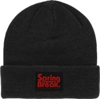 CAPiTA Spring Break Beanie - charcoal