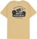 summer squash yellow - reverse