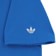 bluebird - detail