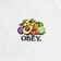 Obey Bowl Of Fruit T-Shirt - white - front detail