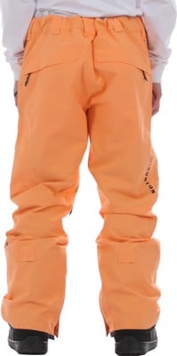 Burton AK Cyclic GORE-TEX 2L Pants (Closeout) - salmon buff