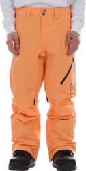 Burton AK Cyclic GORE-TEX 2L Pants - salmon buff