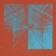 terracotta - reverse detail