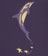 Burton 1996 Dolphin Crew LTD - violet halo - reverse detail