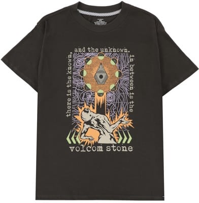 Volcom Skate Vitals Apparition T-Shirt - vintage black - view large
