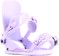 Union Women's Legacy Snowboard Bindings 2024 - lilac - reverse