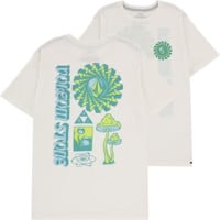 Volcom FTY Molchat T-Shirt - off white