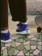 Adidas Adimatic Mid Skate Shoes - (maite steenhoudt) victory blue/magic lilac/dark blue - lifestyle 3