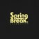 CAPiTA Spring Break Ski Boot T-Shirt - black - front detail