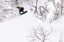 Ride Andy x Dayze Warpig LTD Snowboard 2024 - alternate 2