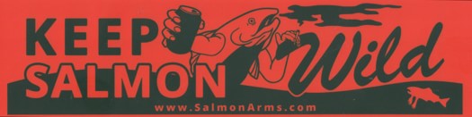 Salmon Arms Bumper Sticker - keep salmon wild (orange) - view large