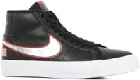 Zoom Blazer Mid Pro GT Skate Shoes