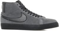 Zoom Blazer Mid Skate Shoes