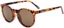 Dang Shades ATZ Polarized Sunglasses - frost tort/amber polarized lens