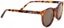 Dang Shades ATZ Polarized Sunglasses - frost/tort amber polarized lens - side