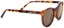 Dang Shades ATZ Polarized Sunglasses - frost tort/amber polarized lens - side