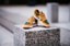 New Balance Numeric 480 Skate Shoes - tan/green - lifestyle 2