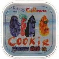 Cookie Colbourn Pro G3 Skateboard Bearings