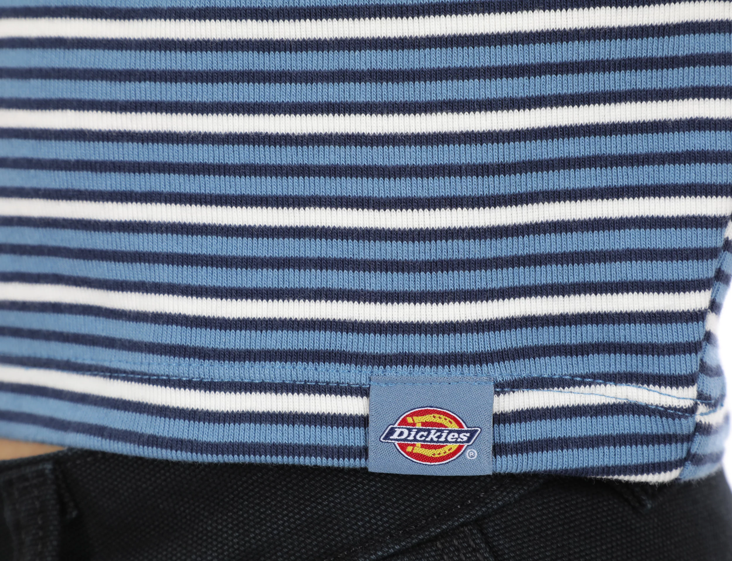 Dickies Women's Altona Stripe T-Shirt - cornet garden baby