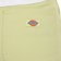 Dickies Women's Duck Canvas Pants - stonewash pale green - reverse detail