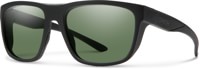 Barra Polarized Sunglasses