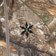 Airblaster Classic Ninja Suit - realtree apx - front detail