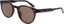 Dragon Koby Sunglasses - shiny tortoise/brown lens