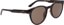 Dragon Koby Sunglasses - shiny tortoise/brown lens - side