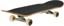 Anti-Hero Budgie 7.75 Complete Skateboard - angle
