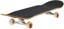 Toy Machine Real Life Sux 8.25 Complete Skateboard - angle - feature image may not show selected color
